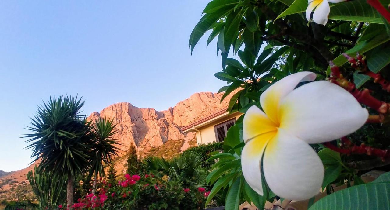 Ciuri Ri Zagara Bed and Breakfast Cinisi Eksteriør billede